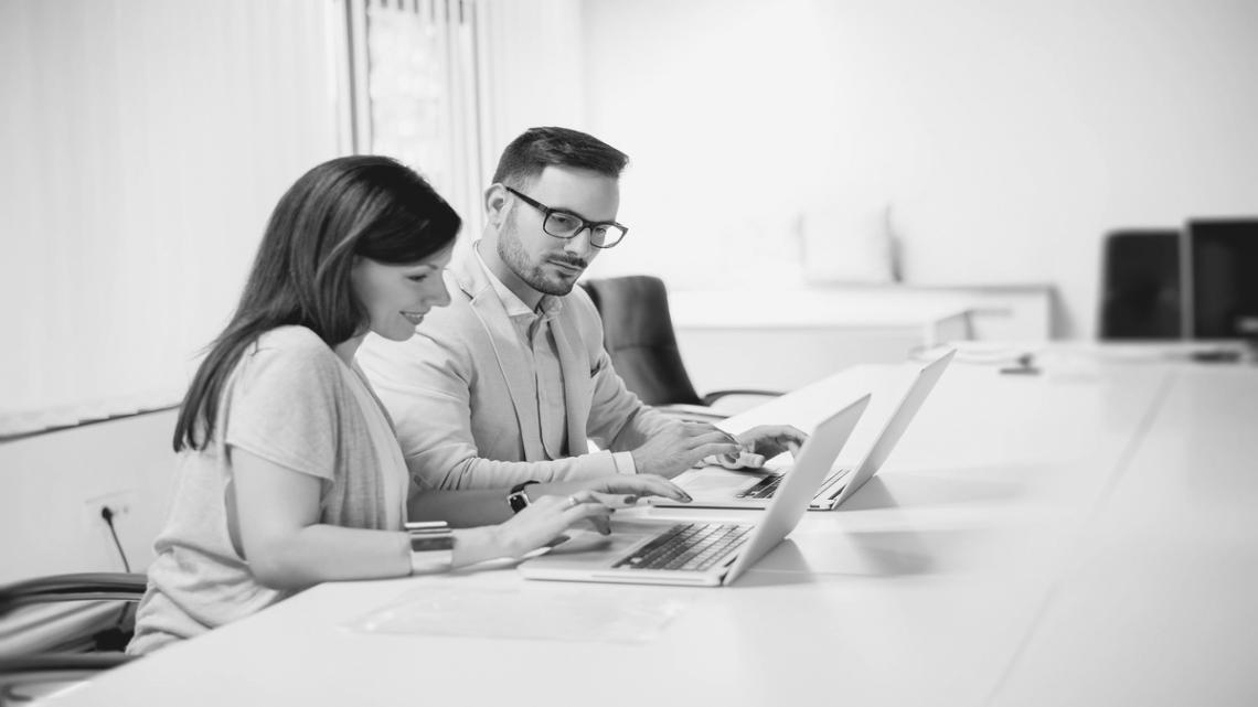 Vue d'ensemble du programme d'analyse SEO